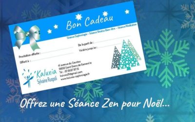 Idée cadeau à offrir pour Noël !