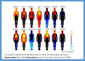 Carte des émotions_Source PNAS/Aaltoe 