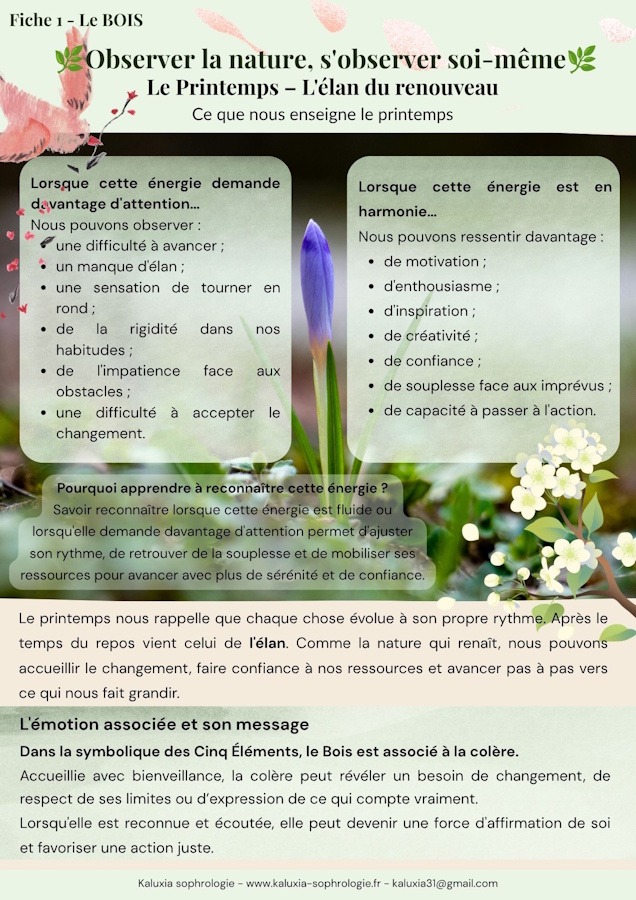 Bois - page 2 Illustration montrant la différence de chronotype entre un homme actif le matin sur son ordinateur et un autre homme inspiré le soir sur son canapé.