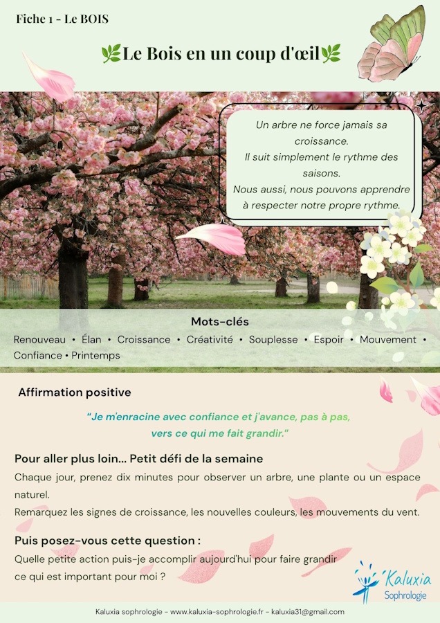 Bois - page 4 Illustration montrant la différence de chronotype entre un homme actif le matin sur son ordinateur et un autre homme inspiré le soir sur son canapé.