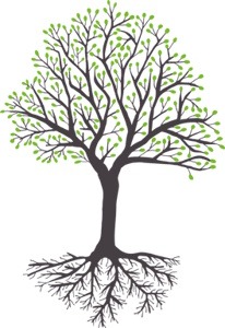 Illustration spirituelle d'un arbre de vie majestueux avec des racines profondes et lumineuses, symbolisant la croissance personnelle et la connexion à la nature.