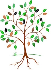 Illustration d’un arbre de vie aux branches étendues et aux racines profondes