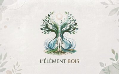 Le Bois en sophrologie : comprendre l’énergie du printemps selon les Cinq Éléments